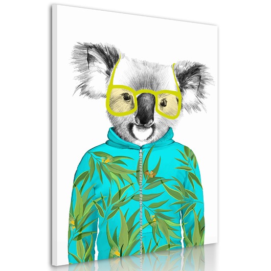 obrazy Obraz na płótnie Koala w okularach 60x80