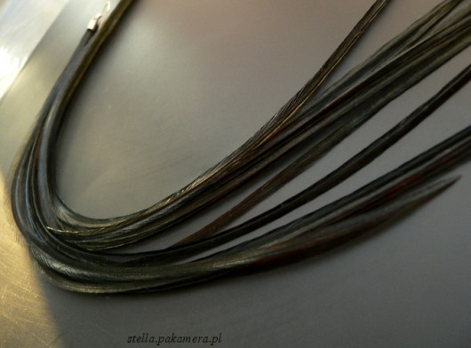 czarna mamba Stella