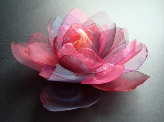 śliwka węgierka SundayRose