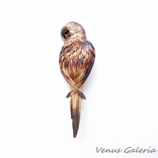 Papuga brązowa - broszka srebrna VENUS GALERIA