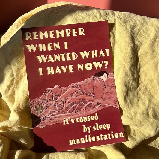 plakaty Sleep manifestation poster a3