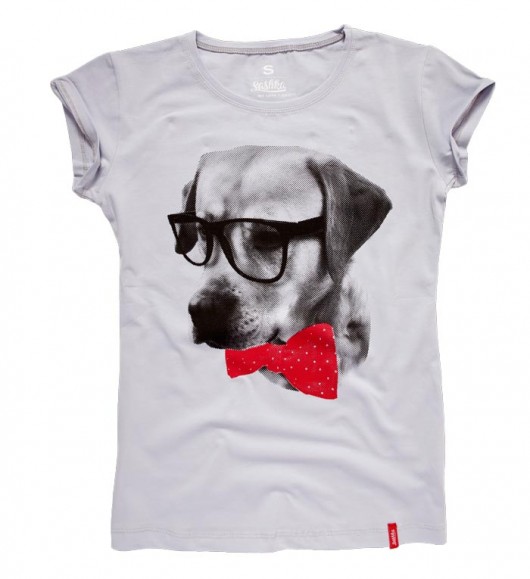 LABRADOR BONO rozm.M SASHKA