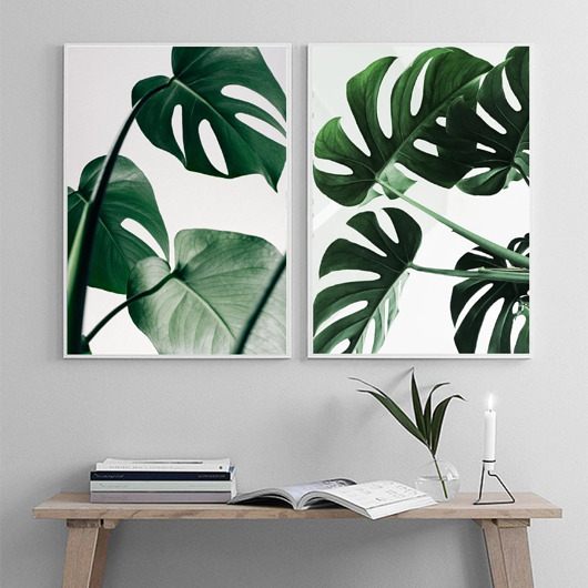 plakaty DWA PLAKATY galeria botaniczne monstera