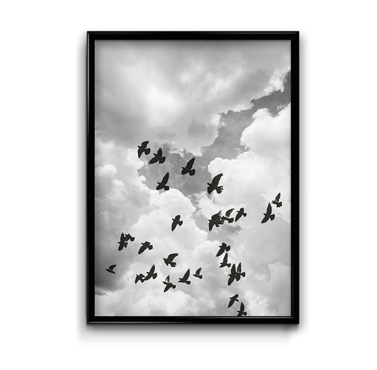 Plakat Sky  Bury Lis