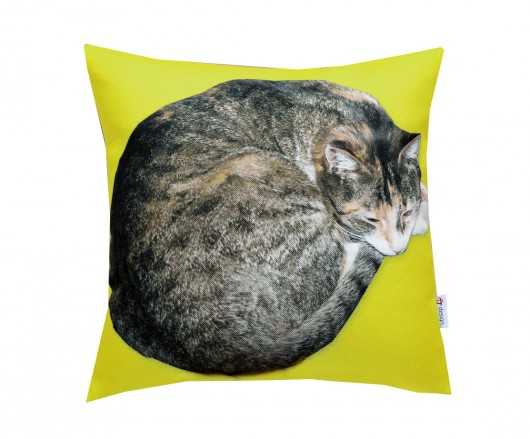 Promocja! kot dla alergika AT design