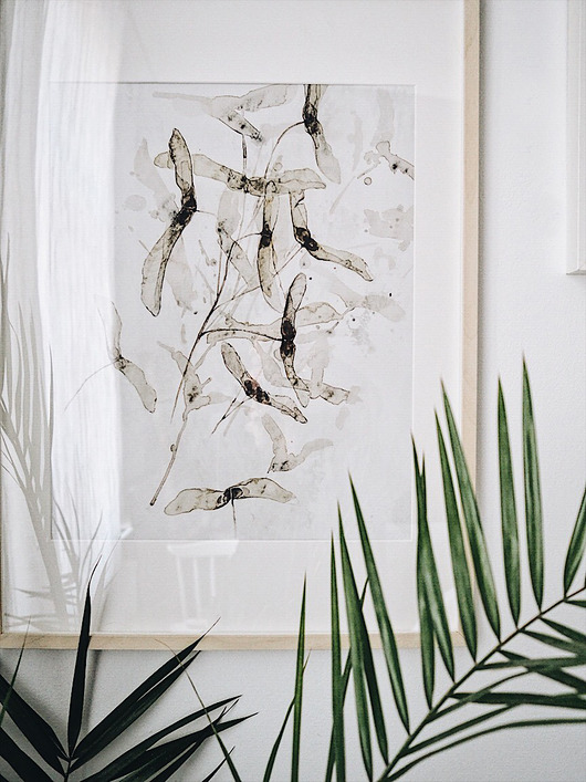 Klon Acer planetoids L. print { 50x70 cm } Margo Hupert
