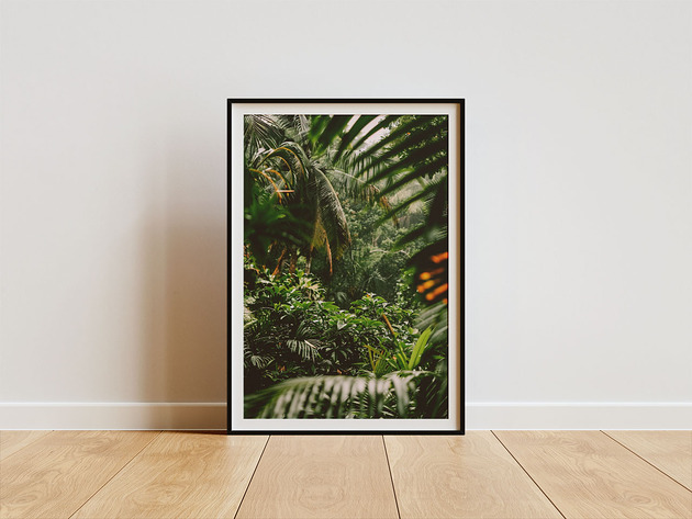 plakaty Plakat - amazonia