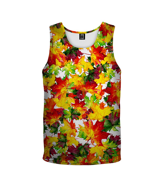 t-shirty dla chłopców Bokserka Top Boy DR.CROW Autumn Leaves