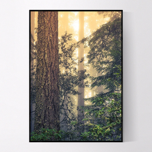Plakat LAS 40x50 cm MUKKO