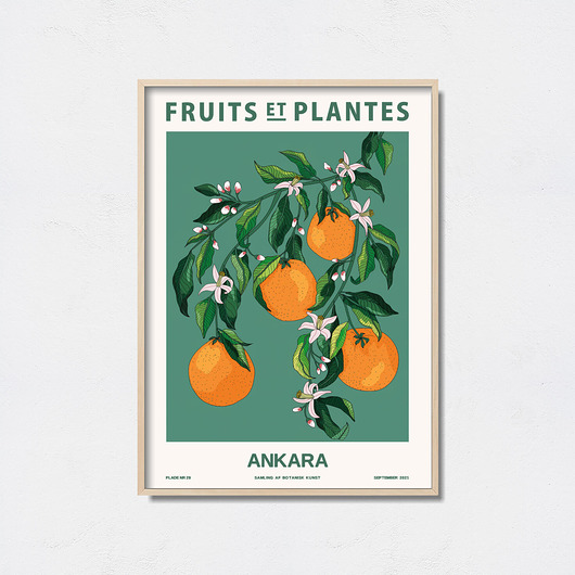 plakaty Plakat botaniczny "Ankara"