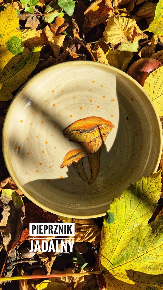 patery i talerze Kurka Talerz Głeboki na owsiankę, Pieprznik Jadalny, Talerz ilustrowany Grzyb