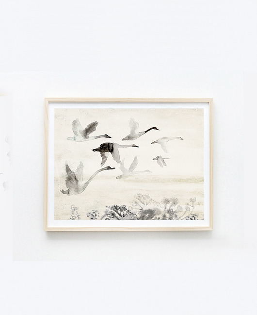 Plakat Dzikie łabędzie 30x40 Anita Tomala