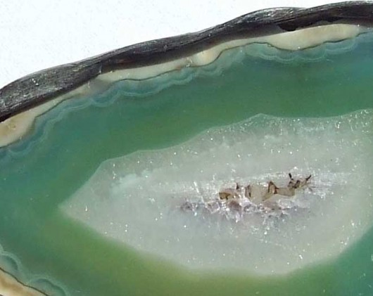 wiosenna tafla AGATU MARIAELA