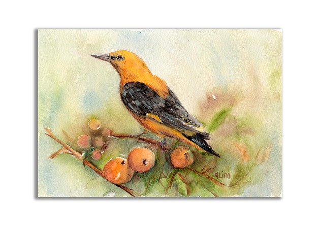 grafiki i ilustracje Wilga. Akwarela ręcznie malowana