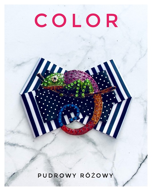 broszki Brosza  z Ogromnym  Kameleonem Kolekcja COLOR