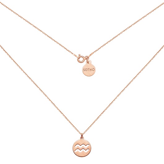 srebrne naszyjniki Matowy naszyjnik z różowego złota z zodiakiem Wodnika