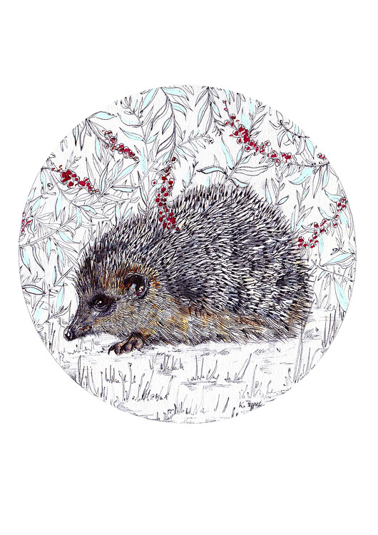 grafiki i ilustracje Jeżyk- jeż- grafika- ilustracja