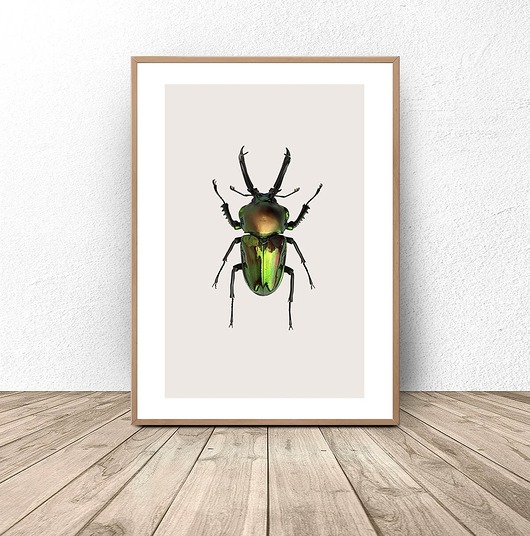 plakaty Plakat na ścianę z zielonym żukiem 30x40 (300mm x 400mm)