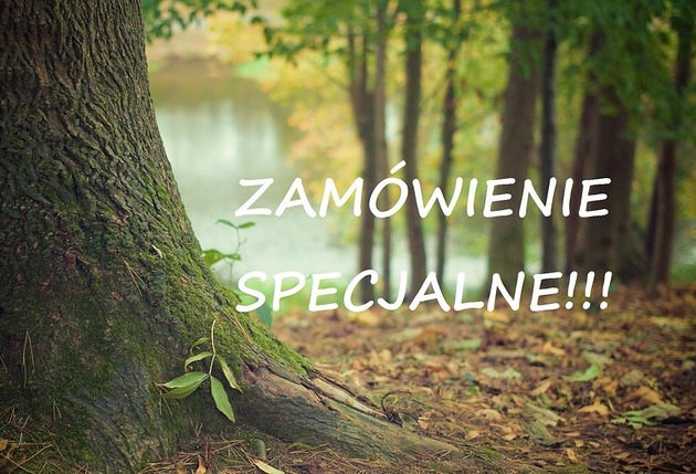 Zamówienie specjalne - breloki EkoCraft