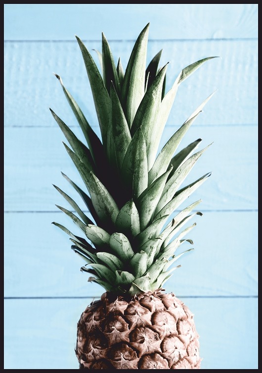 plakaty Plakat "Ananas na niebieskim tle"