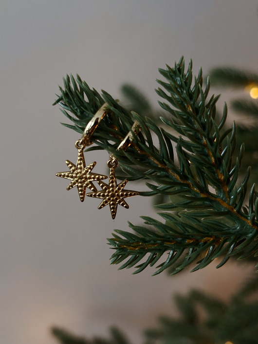 kolczyki pozłacane Kolczyki pozłacane Gwiazdka