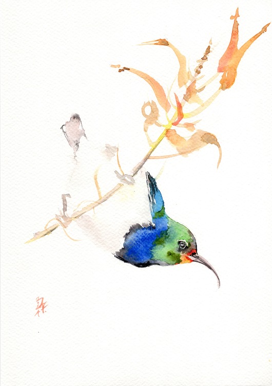 obrazy Oryginalna akwarela. Koliber