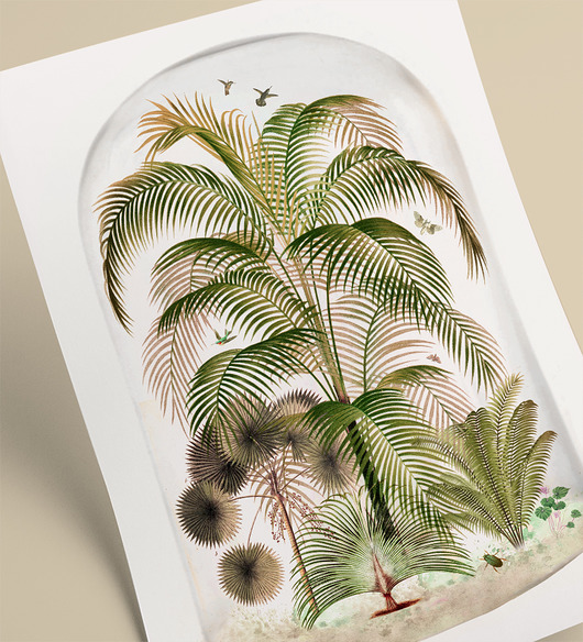 Grafika A3 Anita Tomala