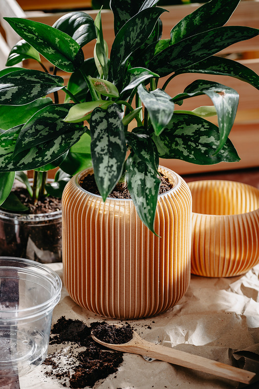 doniczki Duża doniczka 71P03.1000.OAK / eko / zero waste / minimalizm