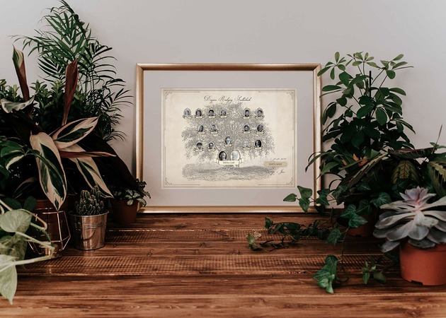 plakaty Plakat Drzewo Genealogiczne 40x50 w ramie