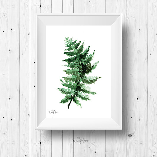 Plakat botaniczny - Paproć Merely Susan