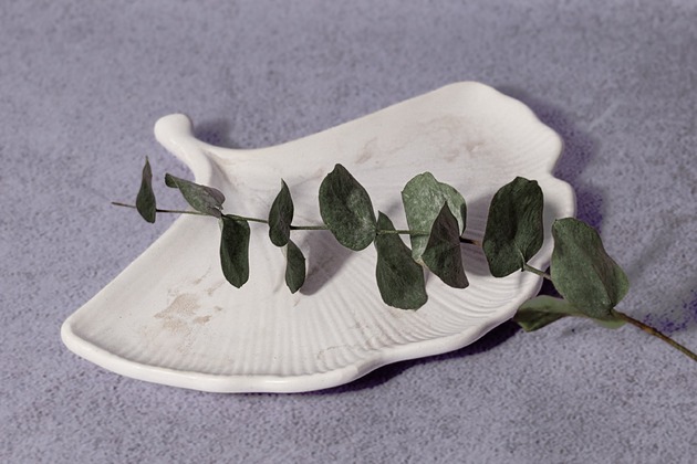 dodatki - różne Gipsowa tacka w kształcie liścia miłorzębu