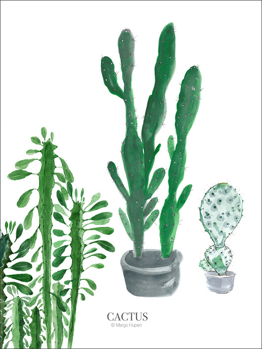 cactus 30x40 cm Margo Hupert