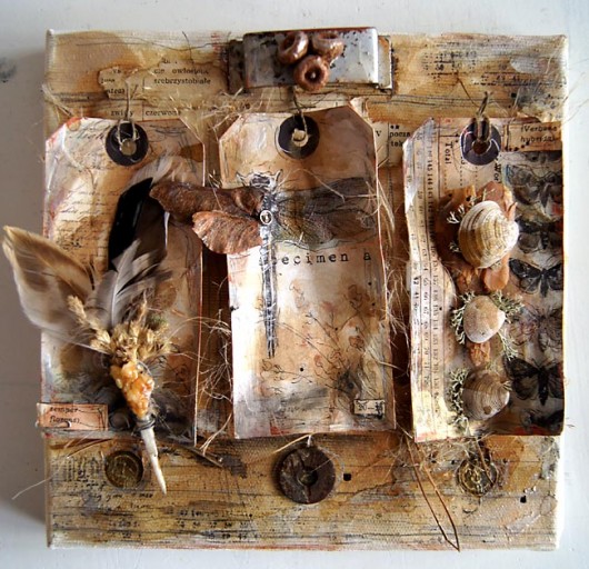 natura vintage Galeria Belladonna