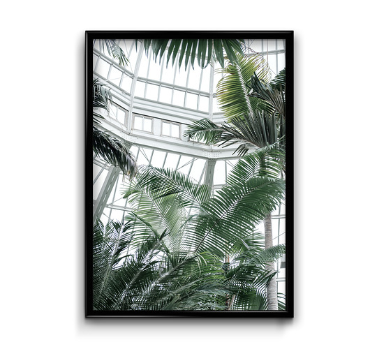 Plakat Palmiarnia #1  Bury Lis