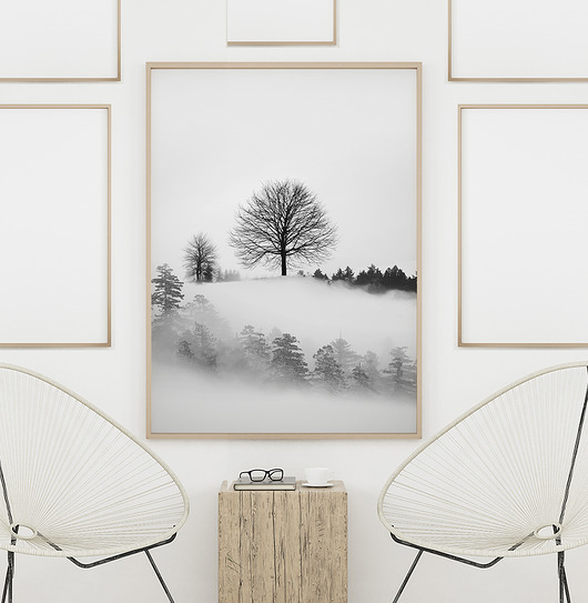 Plakat Drzewa | 50x70 cm Milo Mi