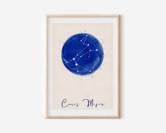 plakaty Plakat  - Konstelacja Wielki Pies - CANIS  Major