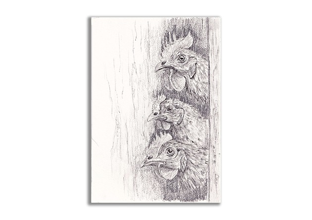 grafiki i ilustracje Grafika ręcznie malowana "Trzy Kurczaki"
