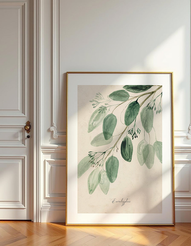 plakaty Eukaliptus  plakat botaniczny  50x70 cm