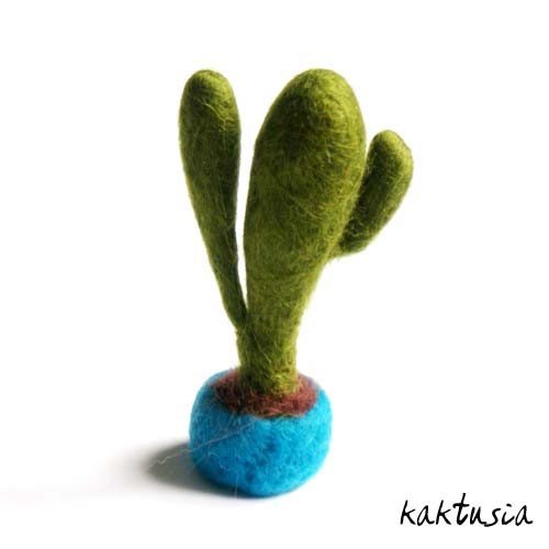 kaktus filcowo-prezentowy kaktusia