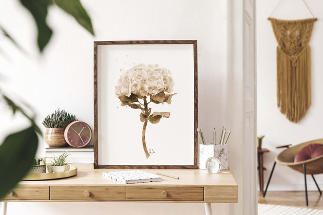 grafiki i ilustracje Hortensja sepia, grafika, akwarela