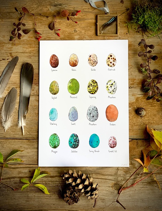 grafiki i ilustracje Jajka - grafika- ilustracja- plakat- eggs