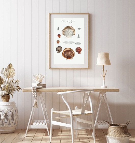 plakaty PLAKAT muszle, vintage, ilustracja, plansza