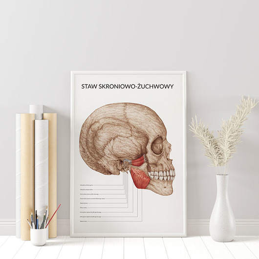 plakaty Plakat Staw Skroniowo-Żuchwowy