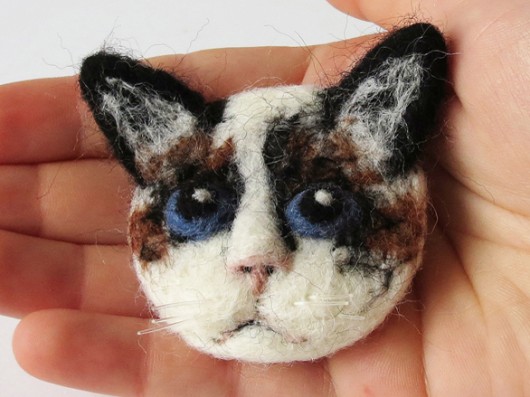 Kot ragdoll DoraHand