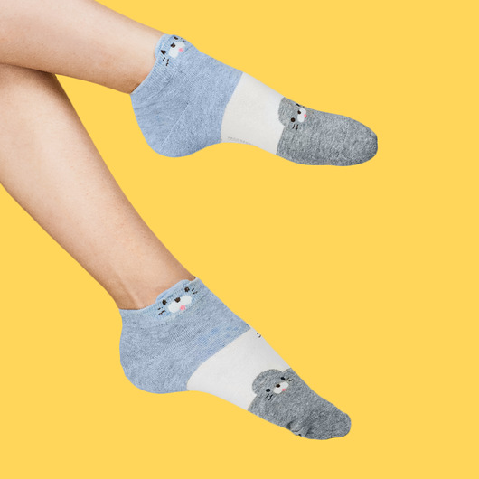 Kolorowe Skarpetki z foczkami CandySox