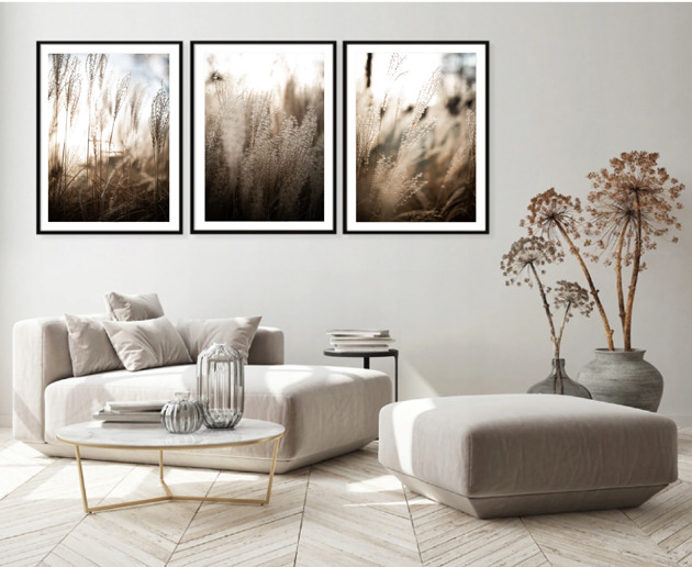 fotografia ZESTAW PLAKATÓW  neutralne plakaty natura