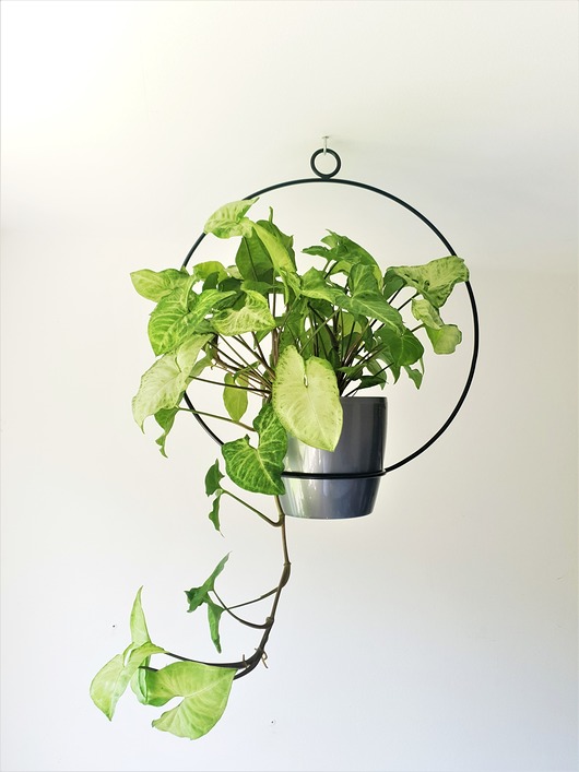 Kwietnik obręcz 11cm SBN Design