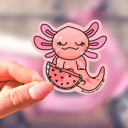 naklejki i wlepy Naklejka ARBUZEK Axolotl