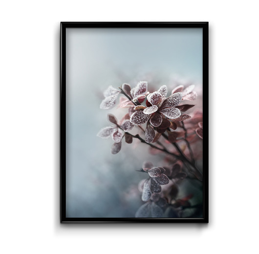 plakaty Plakat Przyroda Zimą No.2