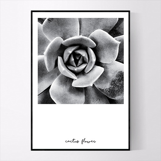 Plakat CACTUS FLOWER BLACK  30x40 CM MUKKO